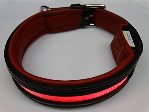 Rutis Tierwelt Firstclass LED Lederhalsband (M 45-50 cm, Schwarz/Rot Leuchtfarbe Rot) von Rutis Tierwelt