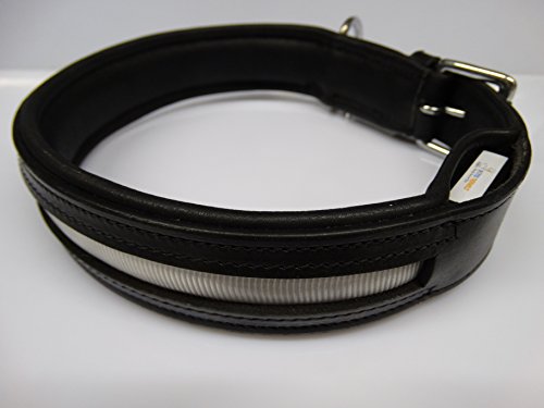 Rutis Tierwelt Firstclass LED Lederhalsband (M 45-50 cm, Schwarz/Schwarz Leuchtfarbe Weiß) von Rutis Tierwelt