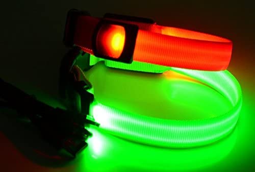 Rutis Tierwelt LED Leuchthalsband Basic 1 per USB aufladbar, Größe L, Grün von Rutis Tierwelt