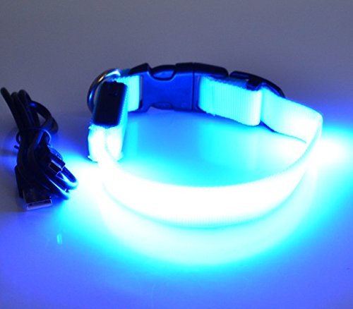 Rutis Tierwelt LED Leuchthalsband Basic 1 per USB aufladbar, Größe XS, (Blau) von Rutis Tierwelt