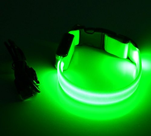 Rutis Tierwelt LED Basic 1 Leuchthalsband per USB aufladbar (Grün, XS 34- 36 cm x 1,5 cm) von Rutis Tierwelt