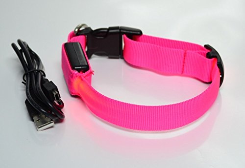 Rutis Tierwelt LED Leuchthalsband Basic 1 per USB aufladbar, Größe XS, (Pink) von Rutis Tierwelt