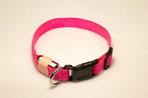 Rutis Tierwelt LED Leuchthalsband Basic 3 per USB aufladbar, Pink, Größe S von Rutis Tierwelt