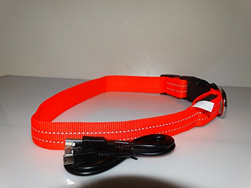 Rutis Tierwelt LED Leuchthalsband Basic 3 per USB aufladbar, Rot, Größe L von Rutis Tierwelt