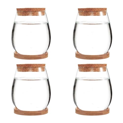 Ruuizksa 4 Stück Mini Transparentes Terrariumglas Wie Abgebildet Dekoration für Den Gartentisch im Wohnzimmer von Ruuizksa