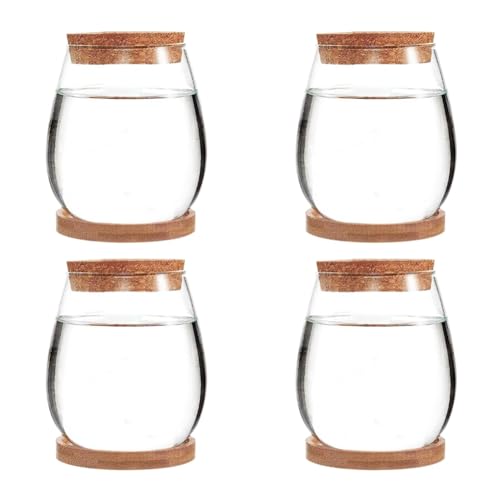 Ruuizksa 4 Stück Mini Transparentes Terrariumglas Wie Abgebildet Dekoration für Den Gartentisch im Wohnzimmer von Ruuizksa