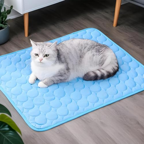 Ruwshuuk Hundekühldecke - Kühlsamt Matte für Welpen und Katzen | Atmungsaktive Sommerdecke Für Haustiere Auf Boden Auto Sofa Balkon von Ruwshuuk