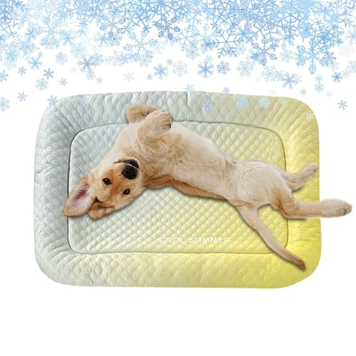 Ruwshuuk Kühlmatte für Hunde – atmungsaktiv, kühles Haustierbett, Hundehütten, Kisten, Schlafen für Wohnzimmer, Welpen, Katzen, Kaninchen, Hamster, Reisen, waschbar, Komfort Ruwshuuk Kühlmatte für Hunde – atmungsaktiv, kühles Haustierbett, Hundehütten, Kisten, Schlafen für Wohnzimmer, Welpen, Katzen, Kaninchen, Hamster, Reisen, waschbar, Komfort von Ruwshuuk