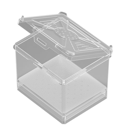 Ruwshuuk Spinnenkäfig | Kleines Terrarium - Belüftetes Tiergehege für Zuhause Wohnzimmer Reisen Camping Outdoor Bildungsausstellungen und Wissenschaftliche Projekte von Ruwshuuk