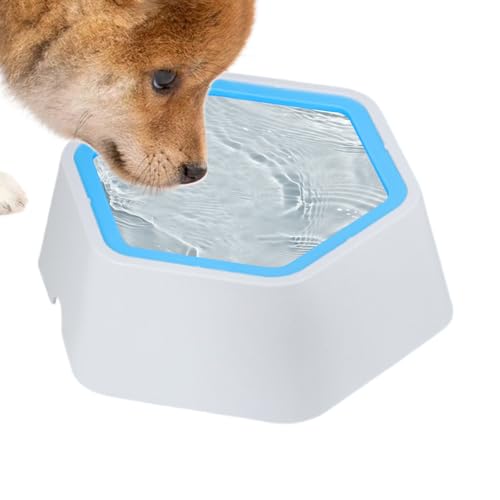 Ruyeiig Katzentrinknapf,Auslaufsicherer Wasserspender | Antirutsch Napf Mit Spritzschutz Für Schlingende Trinker Draussen von Ruyeiig