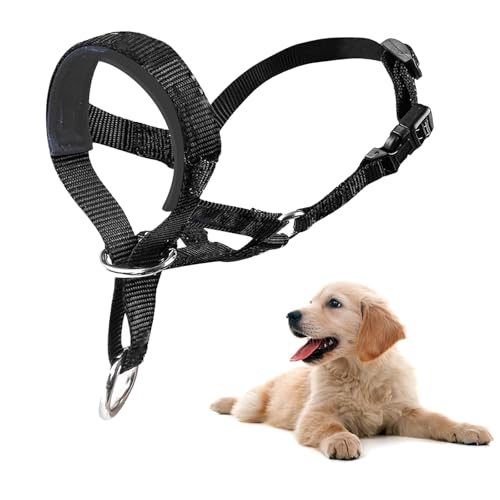 All in One Halfter Leine, Halfter Hund mit gepolstertem Stoff, Kopfgeschirr für Hunde, Anti Ziehen Halfter Halsband, verstellbar und leicht zu kontrollieren (Schwarz) von Rwoythk