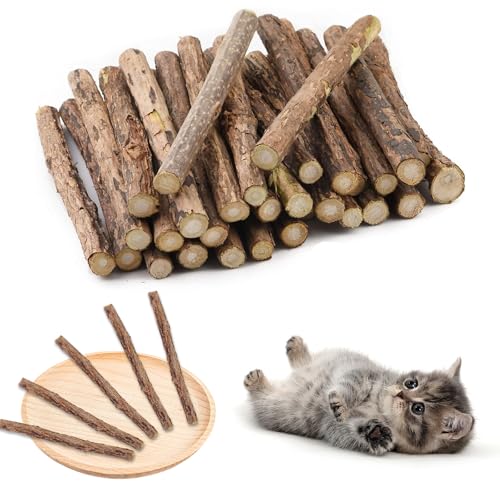 Rwoythk 30pcs Katzenminze Sticks, Katze Kausticks, Katzensticks Katzenspielzeug für Katzen Dental Kau-Sticks helfen bei Zahnstein & Mundgeruch Gesund Hygiene Zahnpflege Rwoythk 30pcs Katzenminze Sticks, Katze Kausticks, Katzensticks Katzenspielzeug für Katzen Dental Kau-Sticks helfen bei Zahnstein & Mundgeruch Gesund Hygiene Zahnpflege von Rwoythk