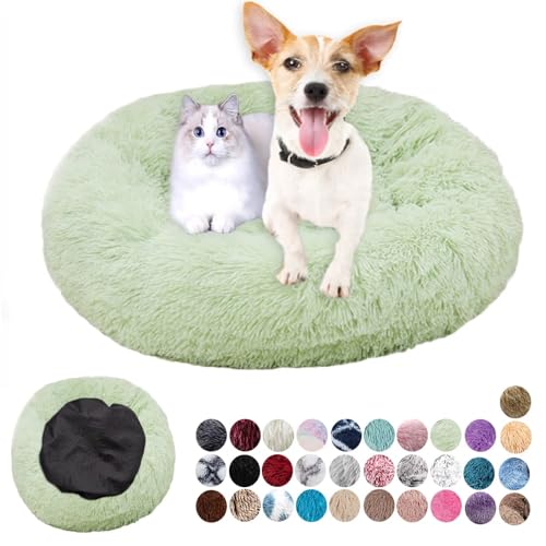 Ryanbem Hundebett Rund Plüsch Hundekissen Weich Warm Hundebetten Anti-Angst, Hundehütte Flauschig Kissen Hundebett Waschbar für Kleine, Mittelgroße, Große Hunde Hellgrün 50cm Ryanbem Hundebett Rund Plüsch Hundekissen Weich Warm Hundebetten Anti-Angst, Hundehütte Flauschig Kissen Hundebett Waschbar für Kleine, Mittelgroße, Große Hunde Hellgrün 50cm von Ryanbem