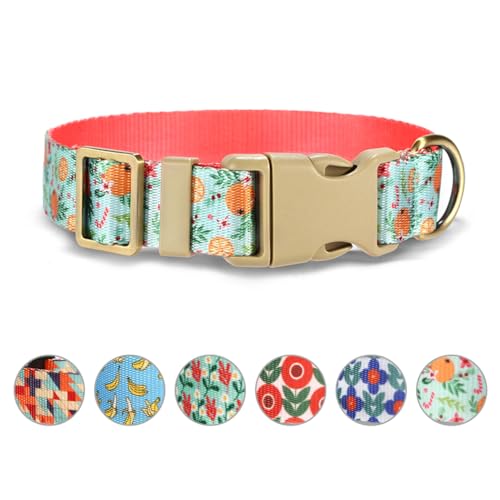 Rychif Hundehalsband, orangefarbenes Muster, verstellbar, weich, niedlich, Sommer, Haustierhalsband für kleine Welpen, Jungen, Mädchen, Hunde (XS, Orange) von Rychif