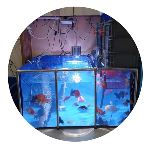 Aquarium Pool Teich, PVC-Leinwand Fischteich Mit Stahlrahmen, Klares Sichtfenster, Großer Raum - Koi/Goldfisch-Zucht, Garten Im Freien (Farbe : Blau, Größe : 100x60x51cm) von Rygcrud