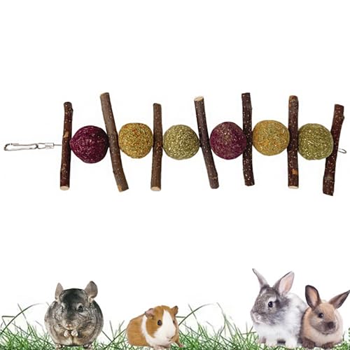 Rynvarl Kauspielzeug für Nagetiere – 130 g natürliche Heukugeln & Apfelzweige – Kaninchen, Hamster, Meerschweinchen, Chinchilla von Rynvarl
