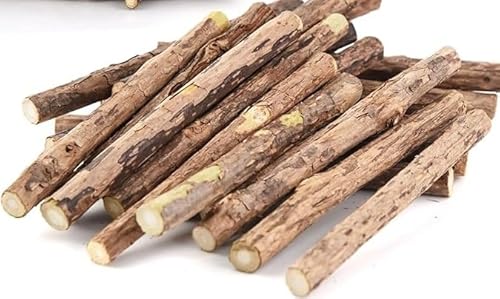 Rynvarl Natürlicher Apfelstab für Nagetiere – Kauspielzeug 300 g für Kaninchen und Hamster, Zahnpflege und Anti-Stress Rynvarl Natürlicher Apfelstab für Nagetiere – Kauspielzeug 300 g für Kaninchen und Hamster, Zahnpflege und Anti-Stress von Rynvarl