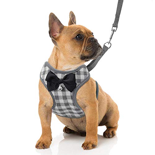 RYPET Kleines Hundegeschirr und Leine Set – No Pull Pet Harness mit weicher Mesh Nylon Weste für kleine Hunde und Katzen Grau S von Rypet