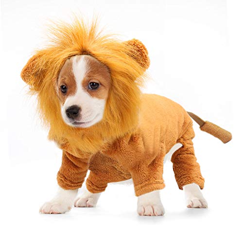 RYPET Löwen-Kostüm für Hunde, Haustierkleidung für Halloween, Party, Simulation, Löwe, Haustiere, Cosplay, Kostüm, Haustier, Löwe, Kapuzenpullover, Katzenkostüm für Party, Größe M von Rypet