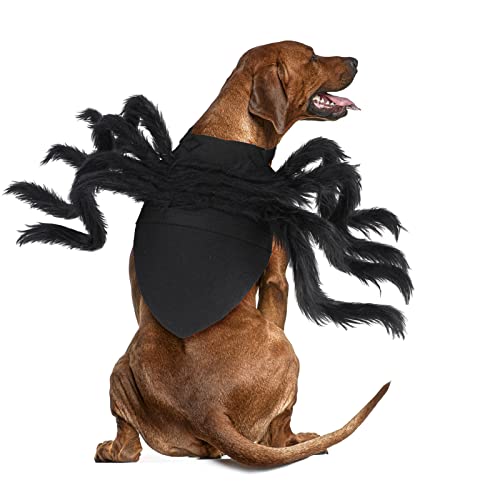 Rypet Haustier Spinne Kostüm - Halloween Spinne Kostüm für Katzen und kleine bis mittelgroße Hunde Halloween Party Dress Up Festival Dekoration Cosplay Haustier Kostüm von Rypet