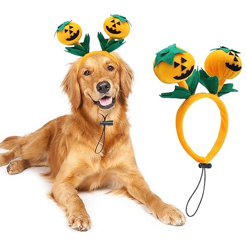 Rypet Hund Kürbis Kostüm - Halloween Hundekostüme Hund Kürbis Stirnband für mittelgroße und große Hunde von Rypet
