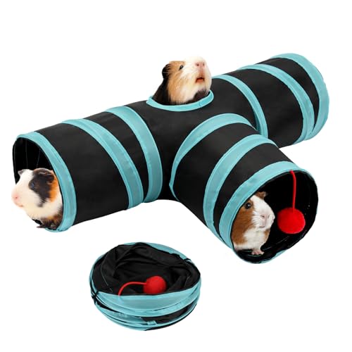 Rypet Meerschweinchentunnel, 3-Wege-Klappbarer Kaninchentunnel, kleine Haustier-Tunnel und Rohre mit interaktivem Ball für Kaninchen, Frettchen, Hamster, Chinchilla, Igel, Verstecken und Ausruhen Rypet Meerschweinchentunnel, 3-Wege-Klappbarer Kaninchentunnel, kleine Haustier-Tunnel und Rohre mit interaktivem Ball für Kaninchen, Frettchen, Hamster, Chinchilla, Igel, Verstecken und Ausruhen von Rypet
