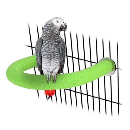 Rypet U-förmiger Papageienständer für Papageien, Spielzeug für Pfotenschleifen, saubere Übung, raue Oberfläche, Quarz-Vogelsitzstange, stehender Käfig, Zubehör für kleine Sittiche, Nymphensittiche, Rypet U-förmiger Papageienständer für Papageien, Spielzeug für Pfotenschleifen, saubere Übung, raue Oberfläche, Quarz-Vogelsitzstange, stehender Käfig, Zubehör für kleine Sittiche, Nymphensittiche, von Rypet