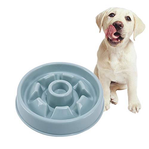 Antischlingnapf Hunde Anti Schling Napf Hunde Hund Anti Choke Bowl Spaß, der Hundenapf herumsucht Hundenäpfe rutschfest Hundenäpfe Medium Blue-1 von Rysmliuhan Shop