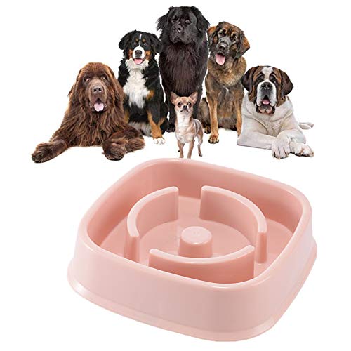 Antischlingnapf Hunde Anti Schling Napf Hunde Hund Anti Choke Bowl Spaß, der Hundenapf herumsucht Hundenäpfe rutschfest Hundenäpfe Medium pink-4 von Rysmliuhan Shop