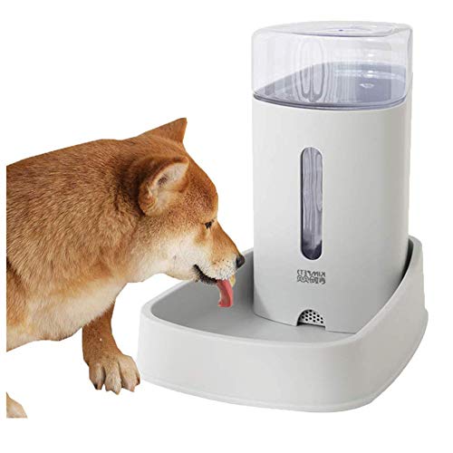 Futterautomat Katze Nassfutter Futterautomat Katze Hundefutterautomat Abnehmbarer Futterautomat für Hunde Wasserspender für Haustiere Gray,Water Feeder von Rysmliuhan Shop