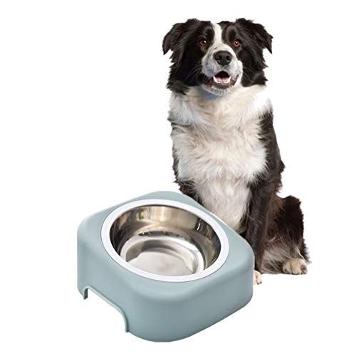 Futternapf Hund Katzennapf Hundenapf Edelstahl Katzenschalen Kunststoff Plastik Hundenäpfe rutschfeste Cat Bowl Hundefutter Und Wasserschüssel Blue von Rysmliuhan Shop