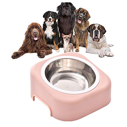 Futternapf Hund Katzennapf Hundenapf Edelstahl Katzenschalen Kunststoff Plastik Hundenäpfe rutschfeste Cat Bowl Hundefutter Und Wasserschüssel pink von Rysmliuhan Shop