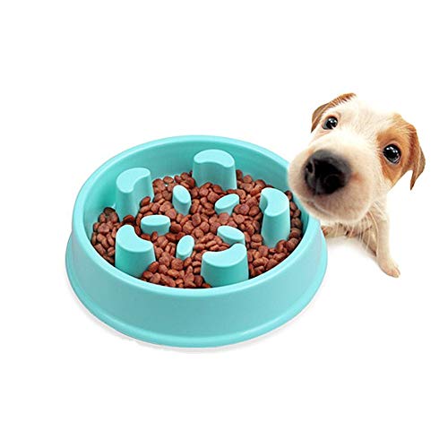 Futternapf Katze Futternapf Hund Ungiftige Puzzle Bowl rutschfeste Schüssel Welpenfutter Wet Bowl Spaß, der Hundenapf herumsucht Blue-a von Rysmliuhan Shop