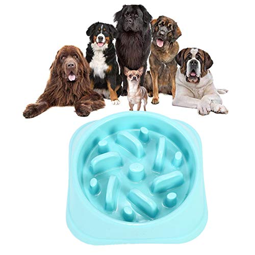 Futternapf Katze Futternapf Hund Ungiftige Puzzle Bowl rutschfeste Schüssel Welpenfutter Wet Bowl Spaß, der Hundenapf herumsucht Blue-c Futternapf Katze Futternapf Hund Ungiftige Puzzle Bowl rutschfeste Schüssel Welpenfutter Wet Bowl Spaß, der Hundenapf herumsucht Blue-c von Rysmliuhan Shop