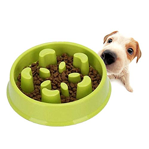 Futternapf Katze Futternapf Hund Ungiftige Puzzle Bowl rutschfeste Schüssel Welpenfutter Wet Bowl Spaß, der Hundenapf herumsucht Green-a von Rysmliuhan Shop