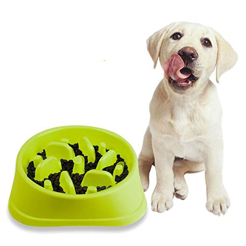 Futternapf Katze Futternapf Hund Ungiftige Puzzle Bowl rutschfeste Schüssel Welpenfutter Wet Bowl Spaß, der Hundenapf herumsucht Green-c Futternapf Katze Futternapf Hund Ungiftige Puzzle Bowl rutschfeste Schüssel Welpenfutter Wet Bowl Spaß, der Hundenapf herumsucht Green-c von Rysmliuhan Shop
