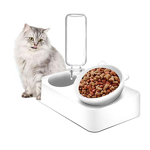 Futternapf Katze Katzennapf rutschfest Hundeschalen Und -schüsseln Futternäpfe Für Hunde Hundenäpfe Medium Cat Wasserspender l von Rysmliuhan Shop