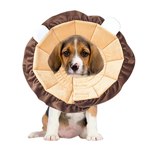 Halskrause Hund Hundekragen Elisabethanisches Halsband für Hunde Haustierschutzhalsband Hundehalsband Kegel für Hunde Katzenwunden-Kopfschutzkegel Lion,l Halskrause Hund Hundekragen Elisabethanisches Halsband für Hunde Haustierschutzhalsband Hundehalsband Kegel für Hunde Katzenwunden-Kopfschutzkegel Lion,l von Rysmliuhan Shop