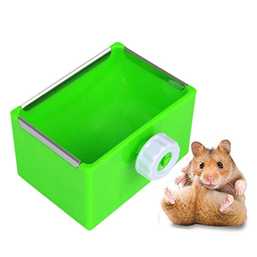 Hasen Zubehör Futternapf Kaninchen Meerschweinchen Hay Feeder Ratte Futternapf Kaninchenfutter Bowl Hamster-Futternäpfe Eichhörnchen-Zufuhr Green von Rysmliuhan Shop