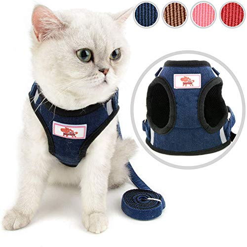 Hunde Leine Hundegeschirr Kleine Hunde Hundewestengeschirr Verstellbarer Hundegeschirr Hundeleine für kleine Hunde Hundegeschirr Kleiner Hund Blue,l von Rysmliuhan Shop