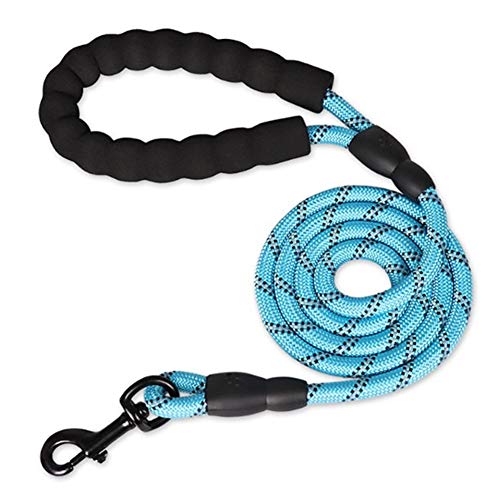 Hunde Leine Hundeleine Leine für große Hunde Seil Hund führen Anti-Pull-Hundeleine Hund führt stark Hundetraining Lead Hundeleine für kleine Hunde Blue,12mm-150cm von Rysmliuhan Shop