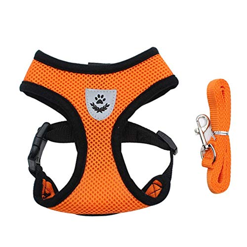 Hundegeschirr Hunde Leine Hundegeschirr führen Welpengeschirr für kleine Hunde Verstellbarer Hundegeschirr Hundeleine für kleine Hunde orange,m von Rysmliuhan Shop