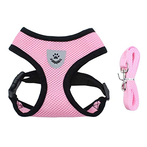 Hundegeschirr Hunde Leine Hundegeschirr führen Welpengeschirr für kleine Hunde Verstellbarer Hundegeschirr Hundeleine für kleine Hunde pink,m von Rysmliuhan Shop