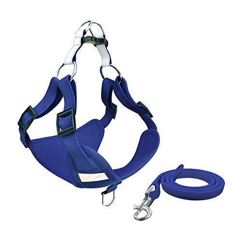 Hundegeschirr Hundegeschirr Kleine Hunde Hundegeschirr führen Hundegeschirr Medium No Pull Hundegeschirr für mittlere Hunde Katzengeschirr mit Blei 48,Blue Hundegeschirr Hundegeschirr Kleine Hunde Hundegeschirr führen Hundegeschirr Medium No Pull Hundegeschirr für mittlere Hunde Katzengeschirr mit Blei 48,Blue von Rysmliuhan Shop