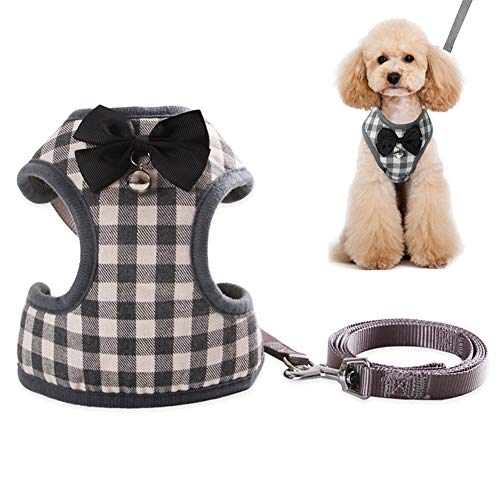 Hundegeschirr Hundegeschirr Kleine Hunde Hundegeschirr und Bleisätze Hundeleine für kleine Hunde Hundegeschirr Medium No Pull Mops Rettungsgeschirr Gray,m von Rysmliuhan Shop