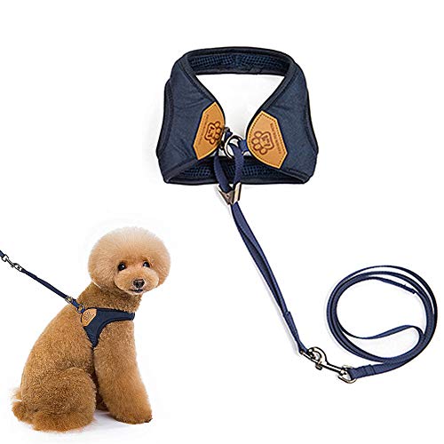 Hundegeschirr Katzenleine Hundeleine für kleine Hunde Welpengeschirr für kleine Hunde Hundegeschirr klein verstellbar Blue,s von Rysmliuhan Shop