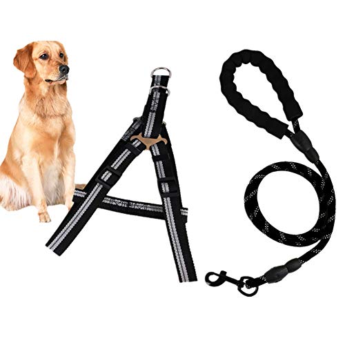 Hundegeschirr Kleine Hunde Hundegeschirr Leine für große Hunde Hundehalsbänder und Leinen für mittlere Hunde Hundegeschirr Kleiner Hund Black,l von Rysmliuhan Shop