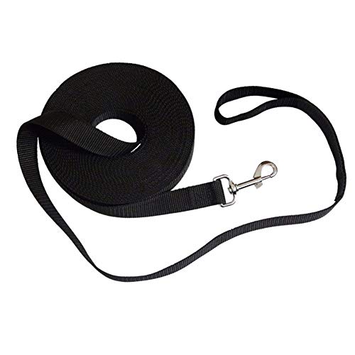 Hundeleine Kleine Hund Hundeleine Große Hunde Hund führt Rutschseil Leine für große Hunde Dog Slip Lead Slip Lead für Hunde Hundetraining Lead Black,3m Hundeleine Kleine Hund Hundeleine Große Hunde Hund führt Rutschseil Leine für große Hunde Dog Slip Lead Slip Lead für Hunde Hundetraining Lead Black,3m von Rysmliuhan Shop