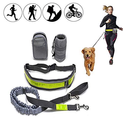 Hundeleine Kleine Hund Joggingleine Hund Mit Bauchgu Hundetraining Lead Taille Hund führen Hundeleine für kleine Hunde Leine für große Hunde von Rysmliuhan Shop