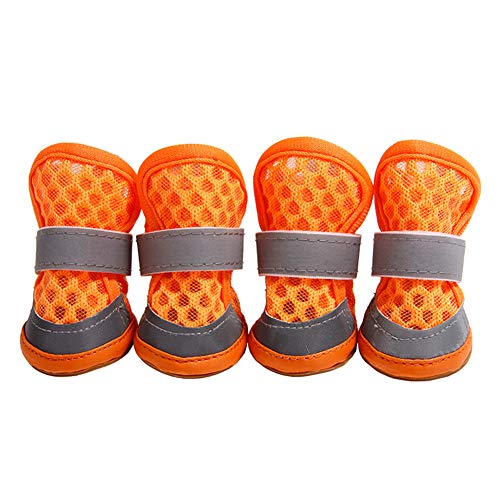 Hundesocken Hundeschuhe Sommer Hundepfotenschutz Hundeschuhe für kleine Hunde Haustierstiefel Hundesocken Hundeschuhe rutschfest Hundeschuhe orange,#2 Hundesocken Hundeschuhe Sommer Hundepfotenschutz Hundeschuhe für kleine Hunde Haustierstiefel Hundesocken Hundeschuhe rutschfest Hundeschuhe orange,#2 von Rysmliuhan Shop